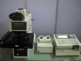 Microscope MX80AF-F, DIC, Auto focus, Auto
